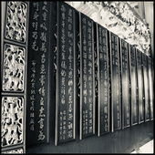 Prise de rendez-vous en ligne pour la Médecine Chinoise, l'accompagnement thérapeutique & la PSE.