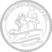 Maine Coon Cat Breeders - Missouri - USA - EuroCoons