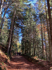 Yoga am Reinischkogel – Wanderung