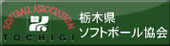 栃木県ソフトボール協会