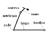 posición del brazo