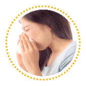 Allergien
