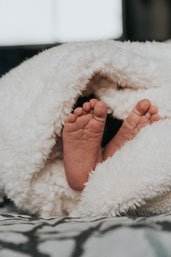 bebe