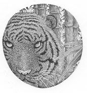 2009　Whiskers & Leaves　4. 9x 4. 7cm-Limited Edition 30　Wood Engraving ¥9,500 