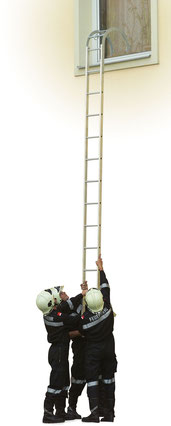 FG-110 Aluminium Hook Ladder