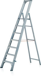 73-007 Platform Ladder