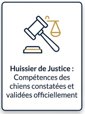 Logo huissier de justice