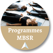 Programme MBSR - Réduction du stress par la pleine conscience