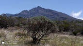 La Réunion/Piton des Neiges: Hier sehen wir den mit 3070 m den höchsten Berg des Indischen Ozeans