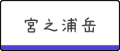 屋久島,宮之浦岳,ガイドツアー,しゃくなげ