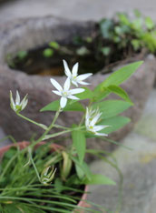 　　　　　②　　　　5月