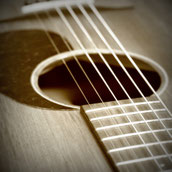 Gitarren & Bässe