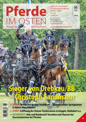 Ausgabe Juni 2025