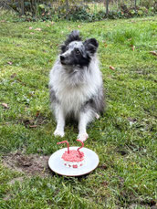 Grizzle 13 Jahre