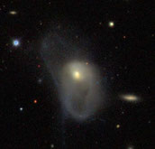 Arp 224 NGC 3921