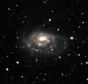 Arp 184 NGC 1961