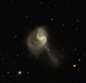 arp 186 ngc 1614