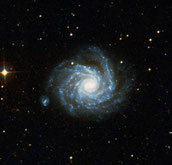 Arp 41 NGC 1232