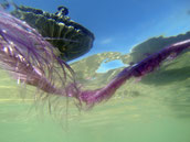 Floods, photographies, 2017-2018