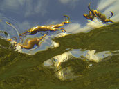 The gold Rush, photographie, 2018