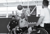 Gemeenschappelijke Training voor een gemeenschappelijk Doel - Gérard und Gérard beim Training in Warendorf. 