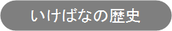 佳生流のあゆみ歴史