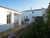 Cliquez pour découvrir