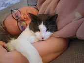 Tierbetreuung für Wiesbaden, Katzenbetreuung vorOrt, Katzensitter - Catsitting