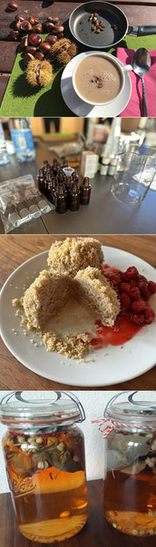 Kräuterapotheke Kurs Herbst