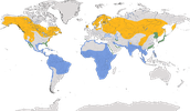 Karte zur Verbreitung des westlichen Fischadlers (Pandion haliaetus)