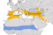 Karte zur Verbreitung des Mittelmeersteinschmätzers (Oenanthe melanoleuca)