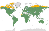 Karte zur Verbreitung der Habichtartige (Accipitridae)