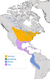 Karte zur Verbreitung des Schwarzschnabelkuckucks (Coccyzus erythropthalmus) in Amerika. 