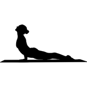 Foto yogahouding opwaartse hond