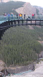 Glacier Skywalk