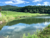 百聞堤/有切棚田(室根町津谷川)