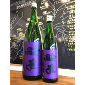 裏鍋島　鍋島特約店　日本酒専門店