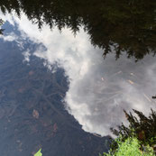 Reflection in a small lake