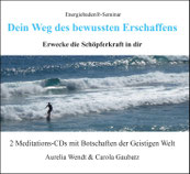 CD-Cover mit einem Surfer, der auf stahlblauem Meer auf weißen Schaumkronen wellenreitet.