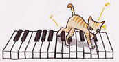 ピアノの鍵盤の上を歩くネコ