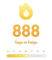 Pamela Hartenberger Duolingo Streak