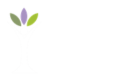Cranio Sacral Tulln Sabine Zacek