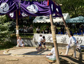 蚊里田八幡宮　春季例祭　奉納子供相撲