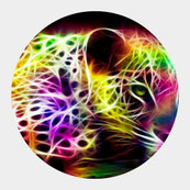 Energiemedizin, Schamanische Ausbildung, Schamanismus, Übergangsrituale, Hausreinigung, Geomantie, Energiefelder klären, Traum auflösen