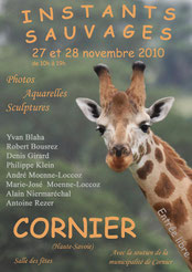 Affiche 2010