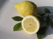 Text Zitrone / Lemon