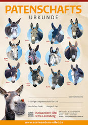 eselwandern-eifel-petra-landsberg-bongard