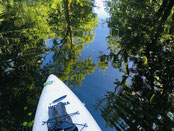 Die streusiedlung Burg Spreewald auf dem SUP endecken