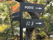 多治見,岐阜,美濃焼,陶器,THE GROUND MINO,作家陶器,窯元陶器,土物,陶磁器,棲菓,米粉菓子,すみか,テイクアウト