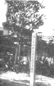 昭和55(1980年)12月21日 無災害2年達成、年明けた翌年1981年に記念植樹した。この記念樹は廃棄されていまはない。